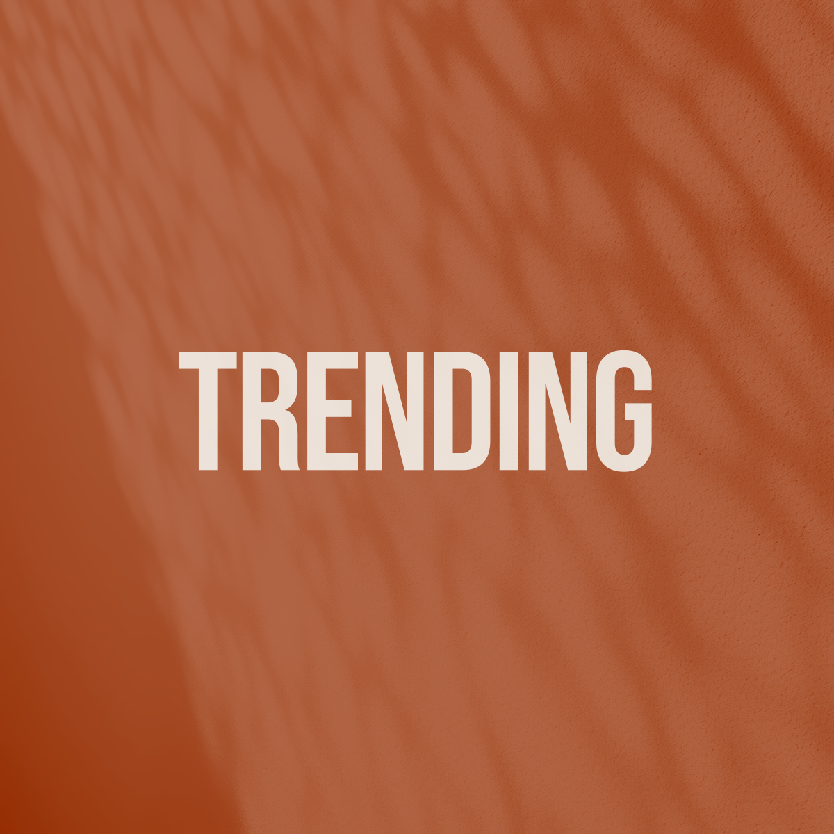 Trending Designs