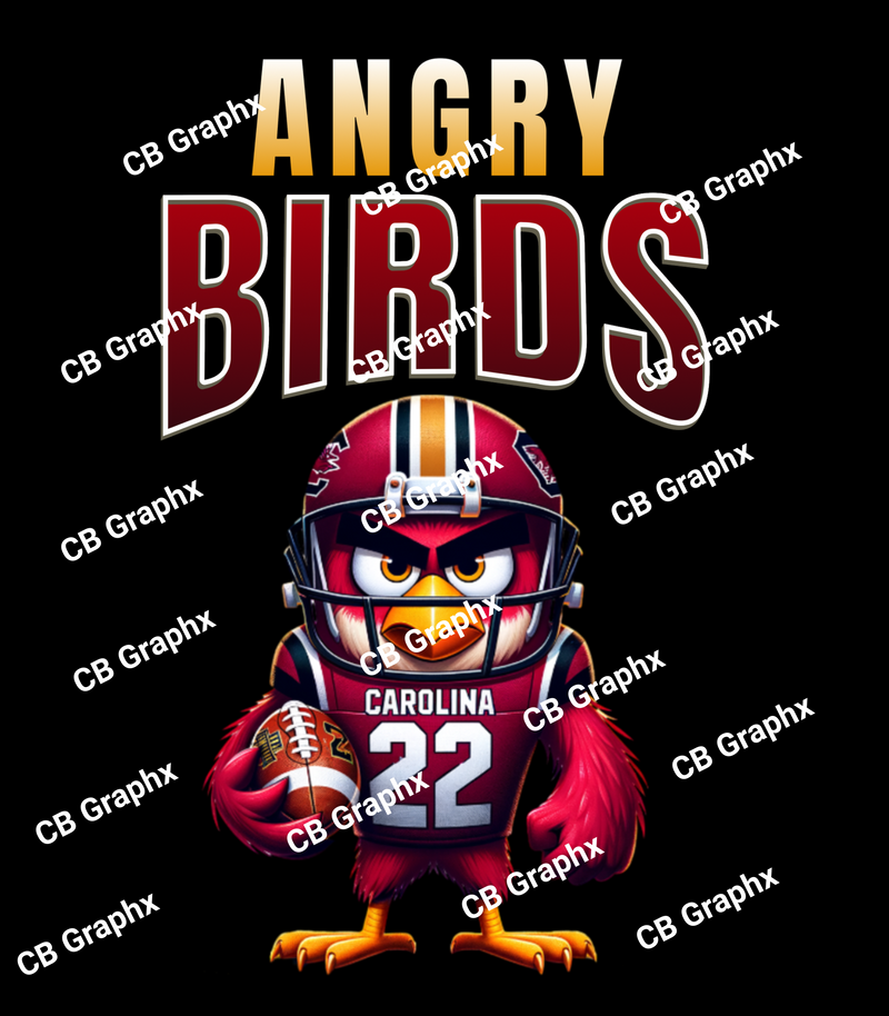 Custom Ready To Press DTF Angry Birds Transfer