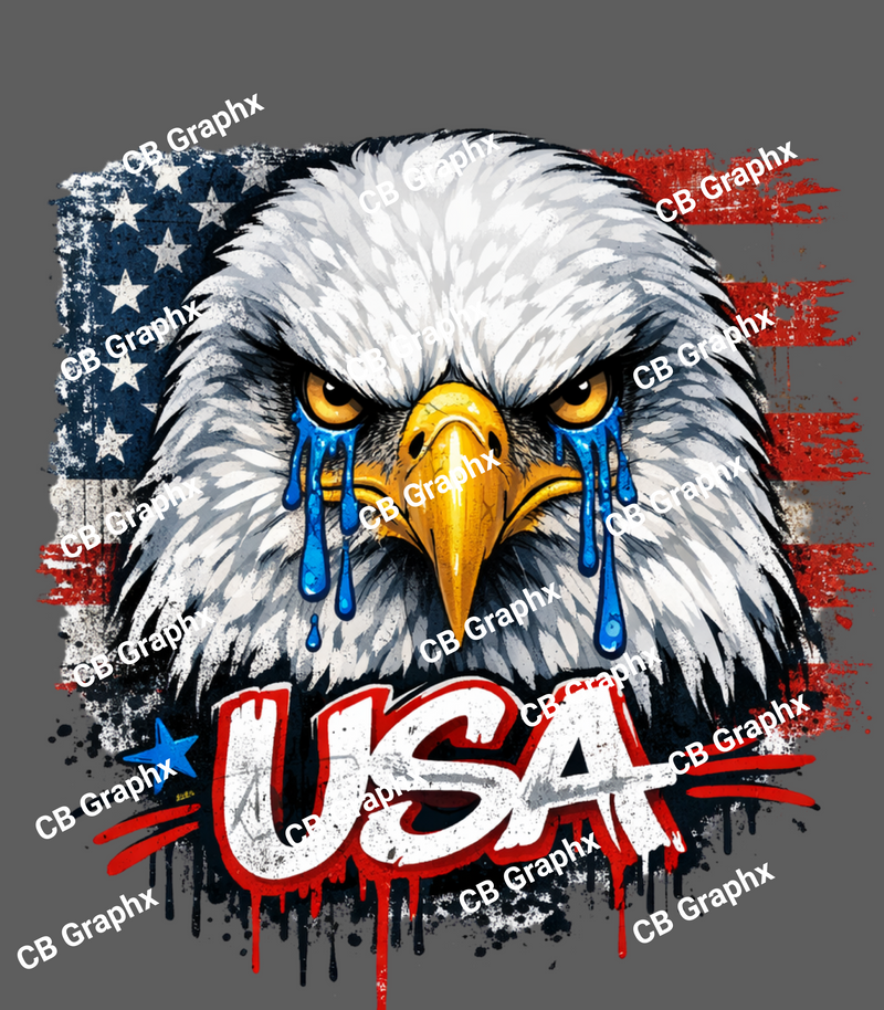 Custom Ready To Press DTF USA Flag & Eagle Transfer