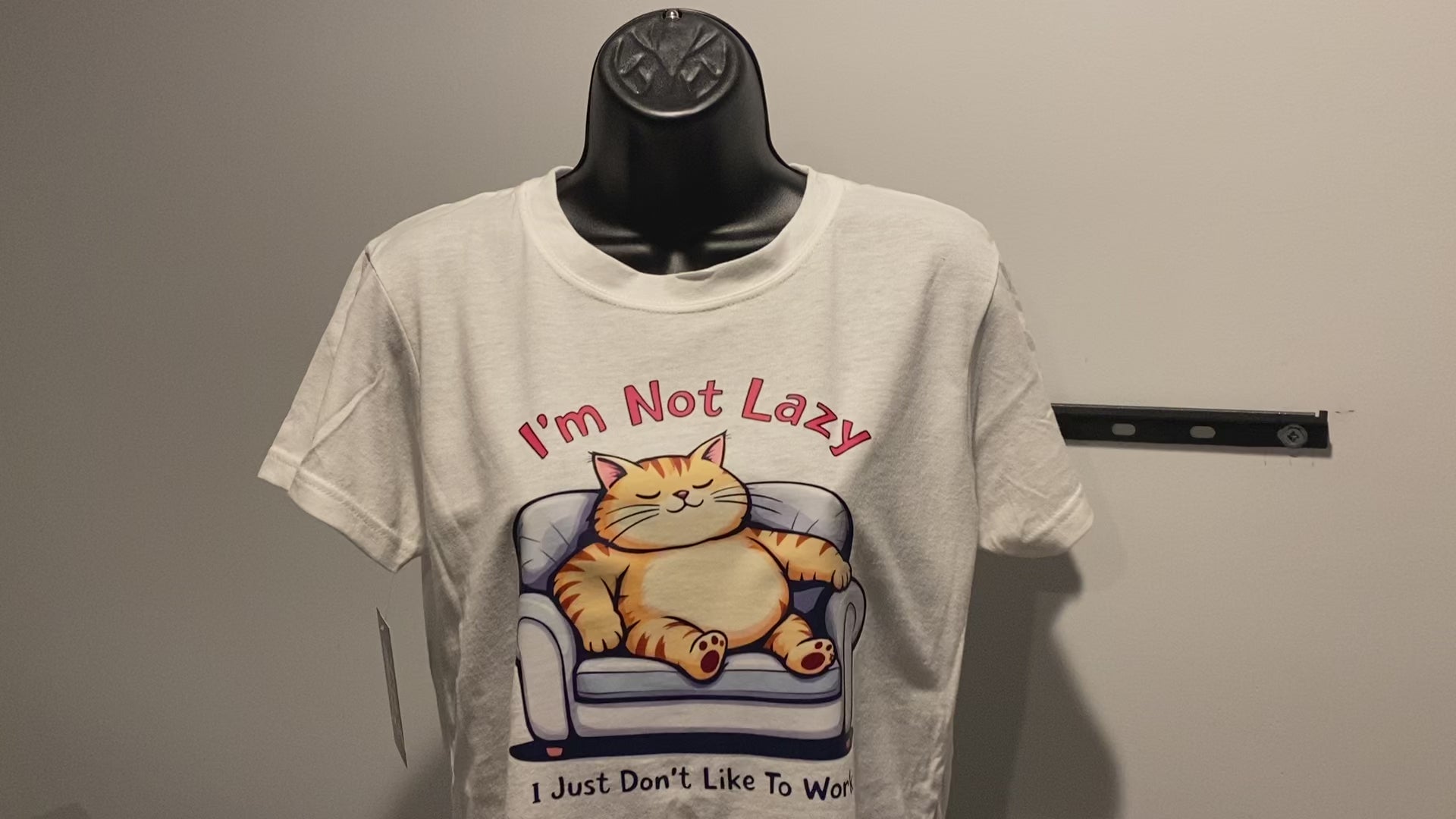 I’m Not Lazy