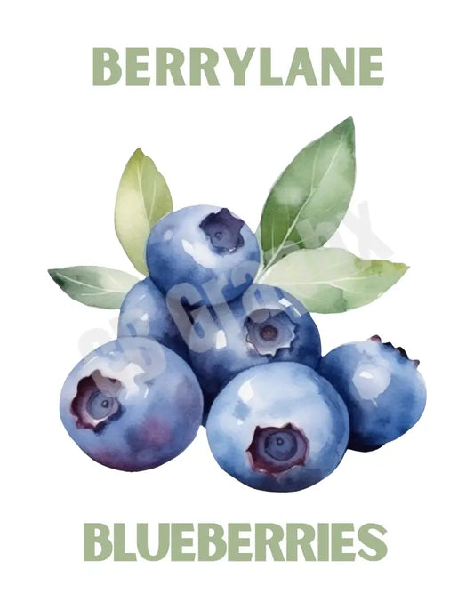 BerryLane Blueberry
